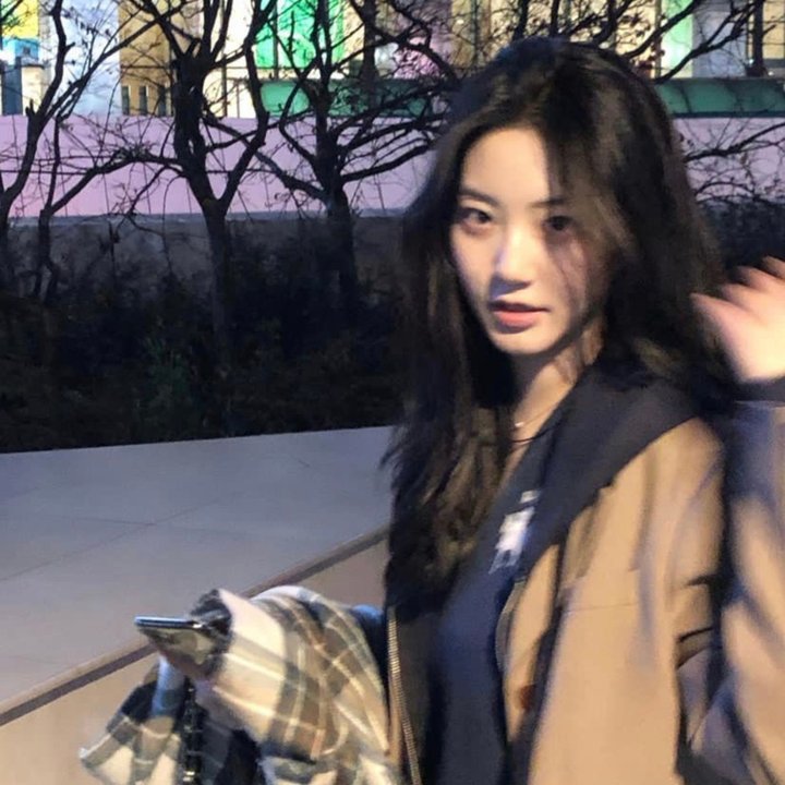七彩狗